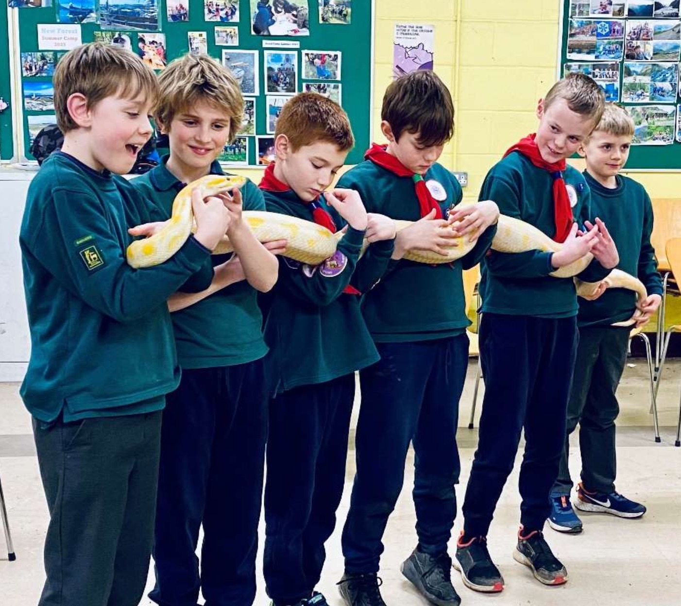 6 Cub Scouts holding a long yellow snake